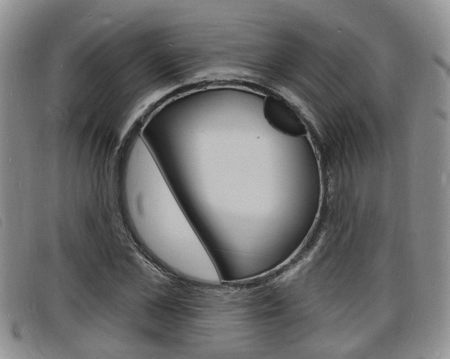 X0000098200973200804241034