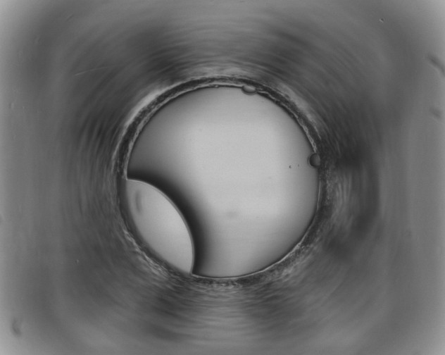 X0000098200975200804241034