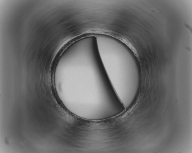 X0000098200976200804241034