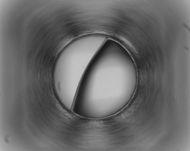 X0000098200977200804241034