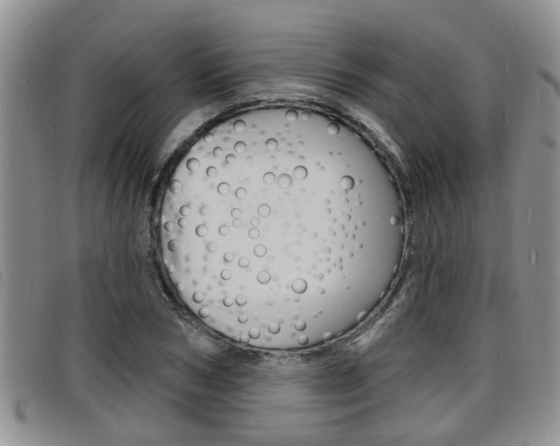X0000098200978200804241034