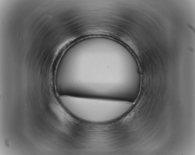 X0000098200979200804241034