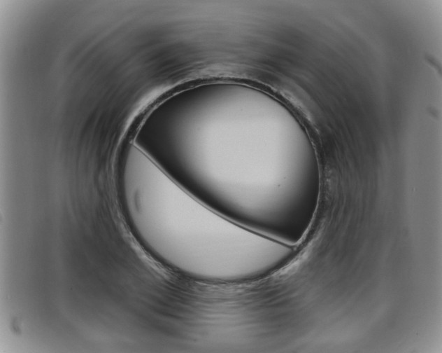 X0000098200981200804241034