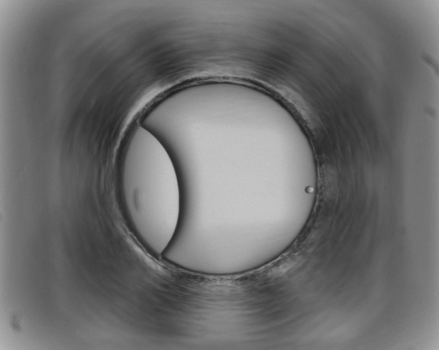 X0000098200982200804241034