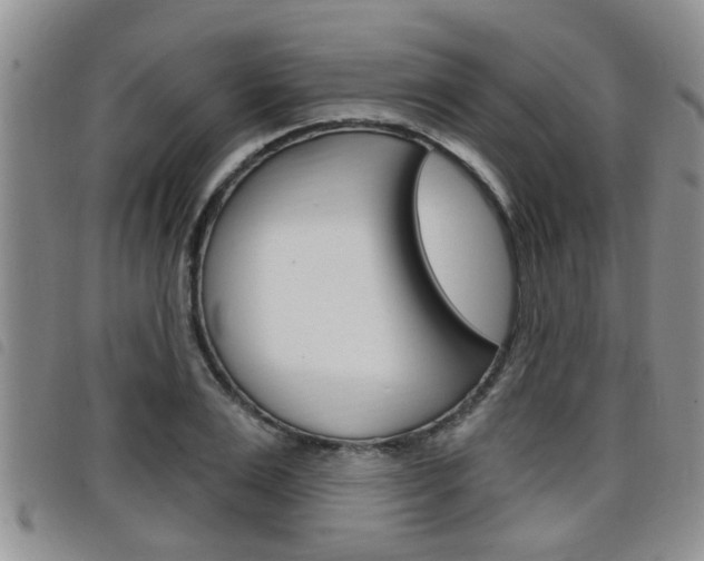 X0000098200983200804241034