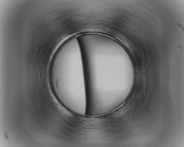 X0000098200984200804241034