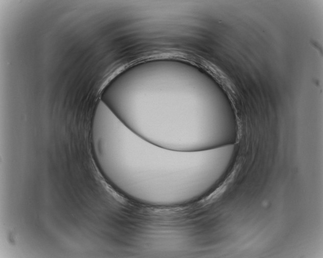 X0000098200985200804241034