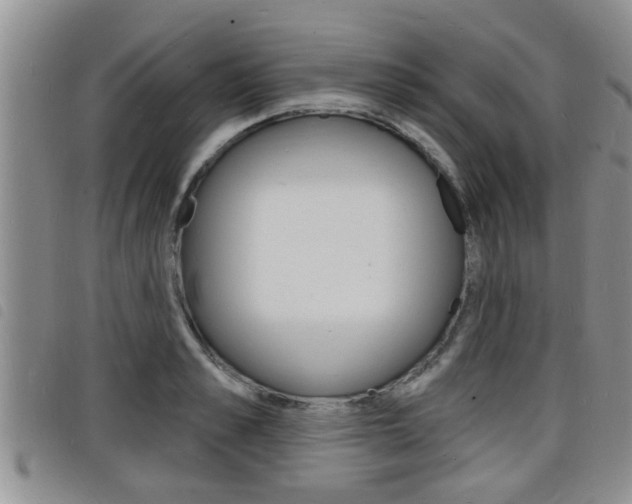 X0000098200989200804241034