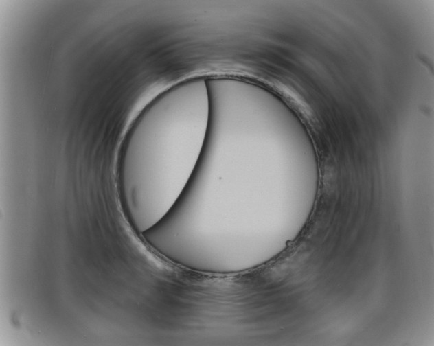 X0000098200990200804241034