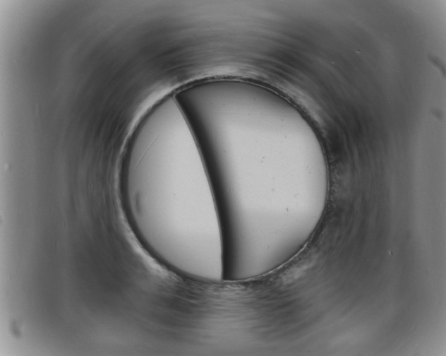 X0000098200991200804241034