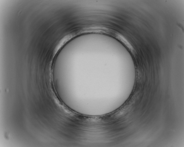 X0000098200994200804241034