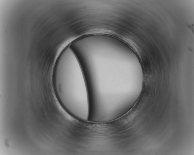 X0000098200995200804241034