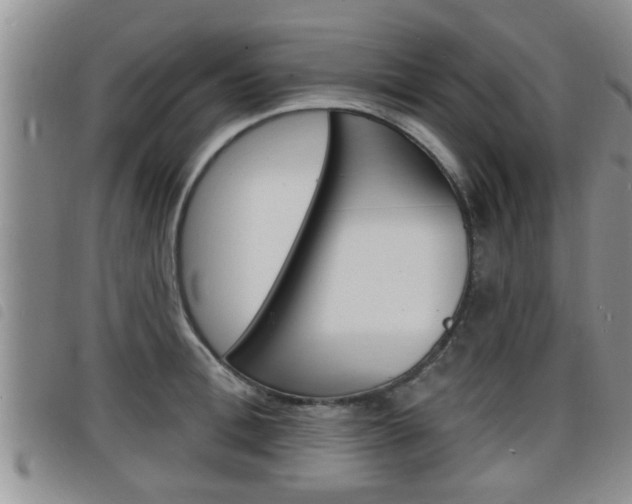 X0000098200996200804241034