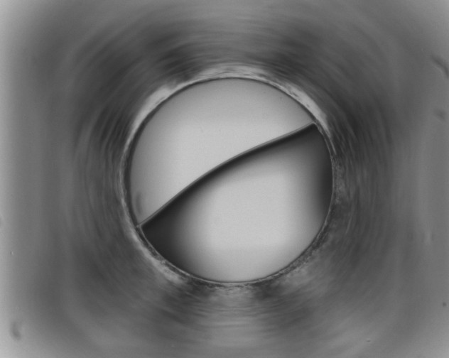 X0000098200997200804241034