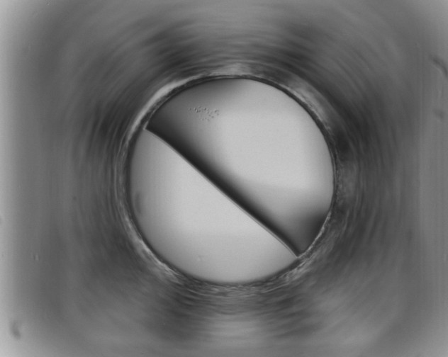 X0000098201000200804241034