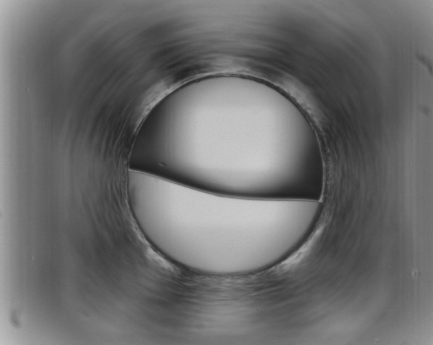 X0000098201001200804241034