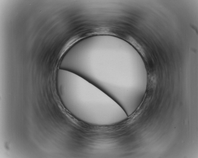 X0000098201002200804241034