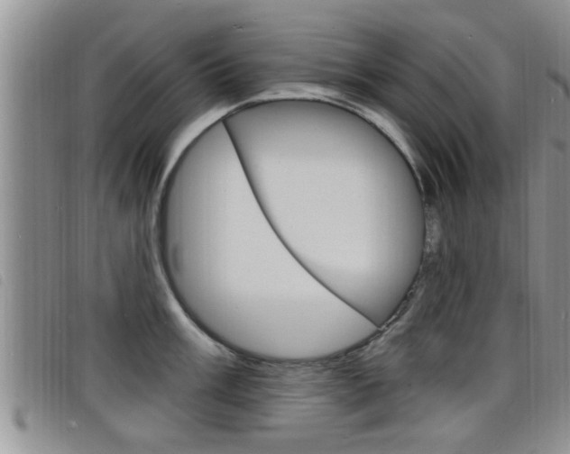 X0000098201003200804241034