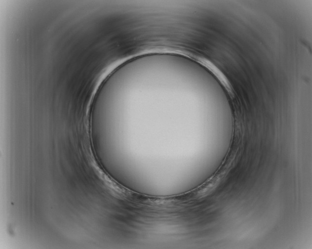 X0000098201004200804241034