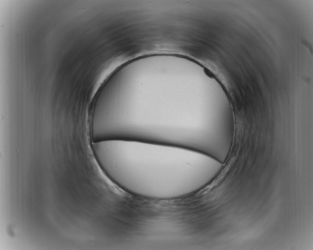 X0000098201006200804241034
