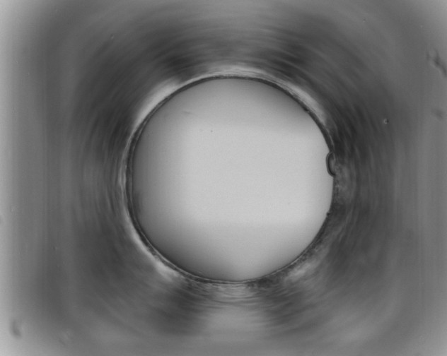 X0000098201007200804241034