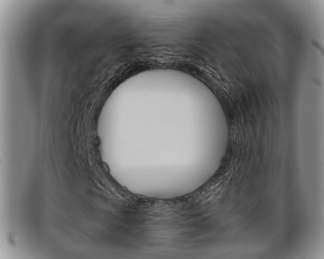 X0000098201009200804241033