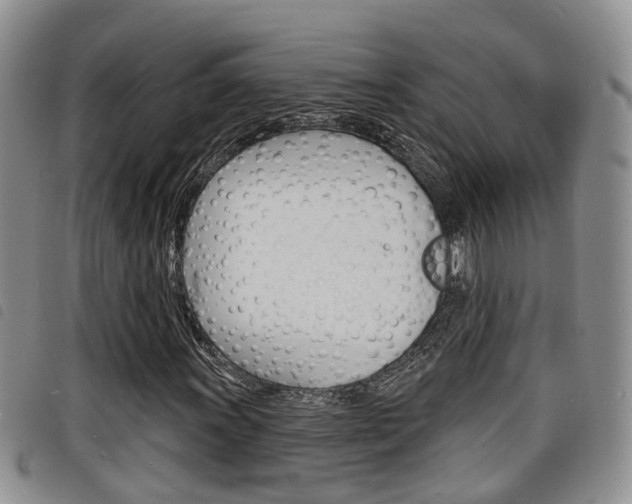 X0000098201011200804241033