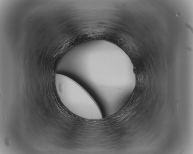 X0000098201012200804241033