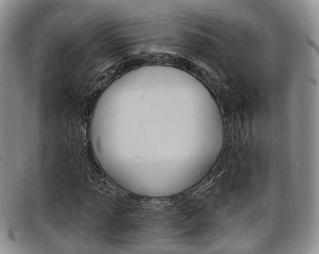 X0000098201013200804241033