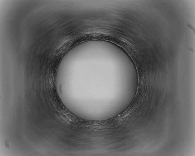 X0000098201014200804241033