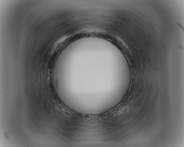 X0000098201016200804241033