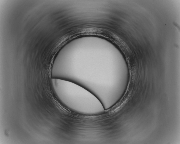 X0000098201017200804241033