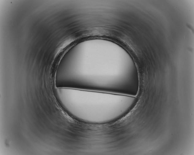 X0000098201018200804241033