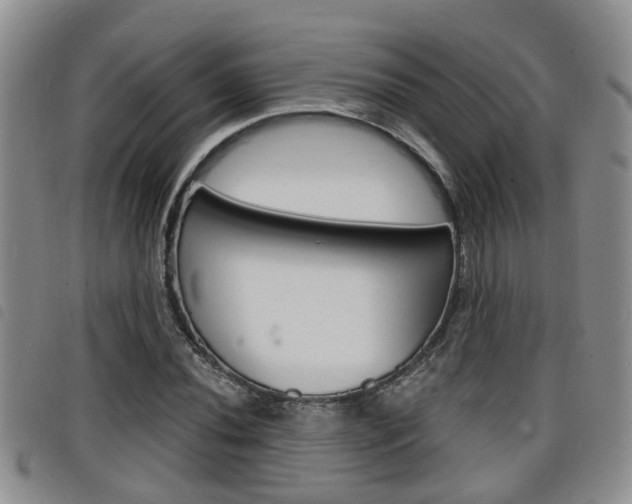 X0000098201020200804241033