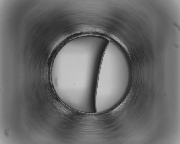 X0000098201021200804241033