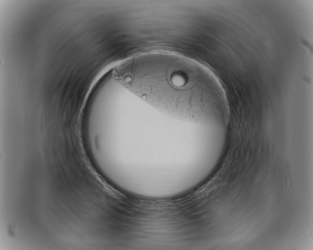 X0000098201024200804241033