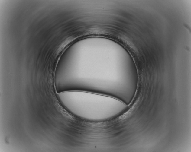 X0000098201025200804241033