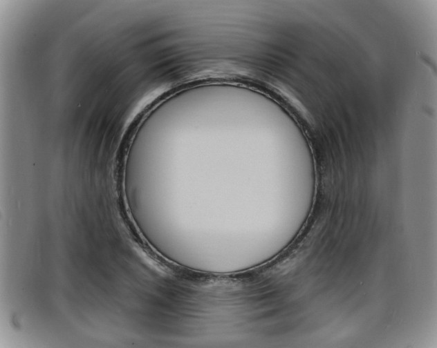 X0000098201026200804241033