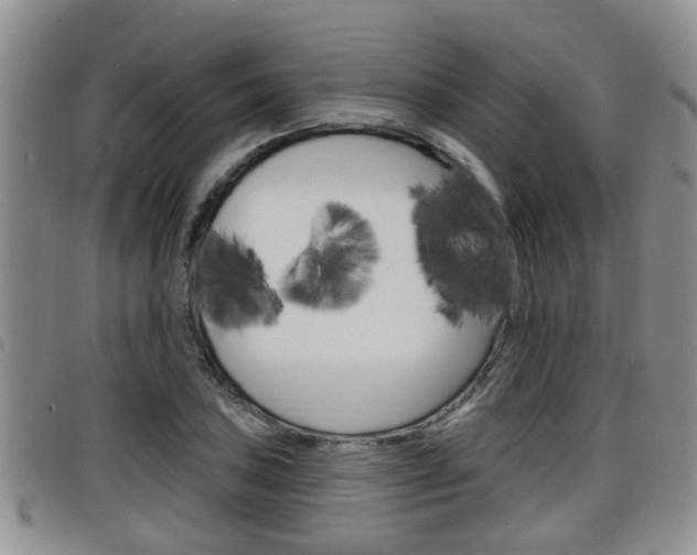 X0000098201027200804241033