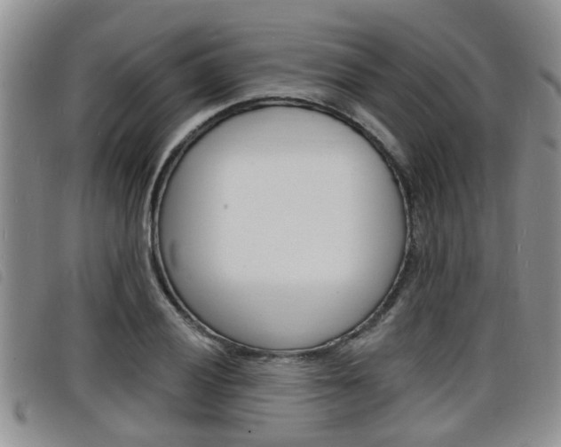 X0000098201028200804241033