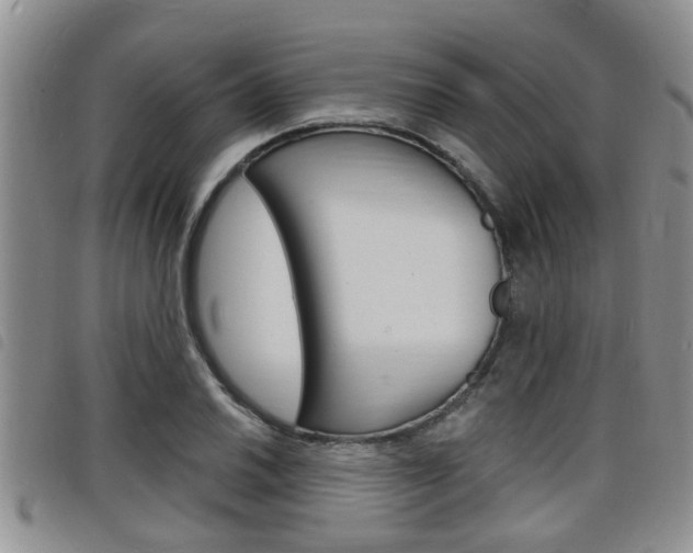 X0000098201030200804241033