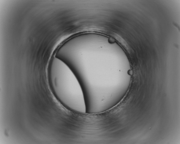X0000098201032200804241034