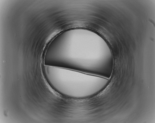 X0000098201034200804241034