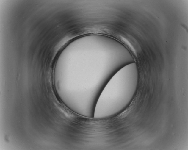 X0000098201035200804241034