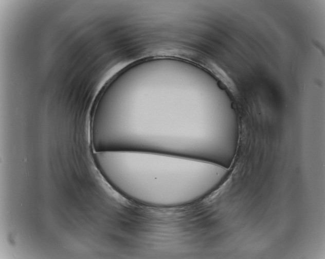 X0000098201036200804241034