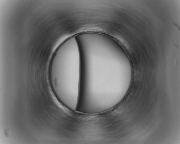 X0000098201038200804241034