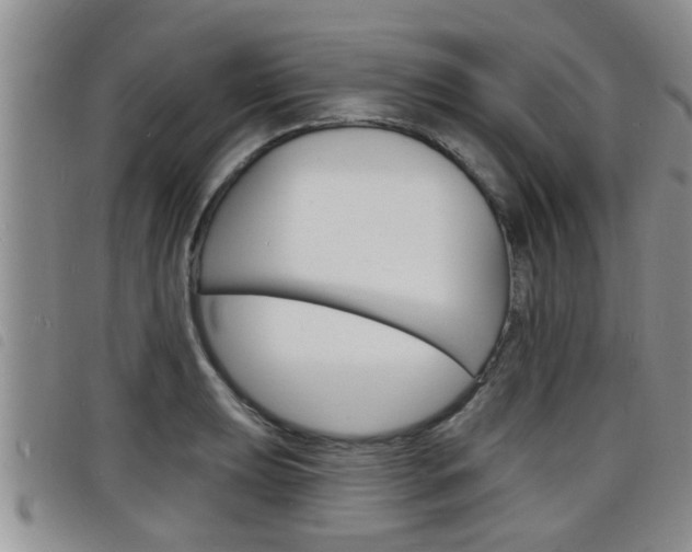X0000098201039200804241034