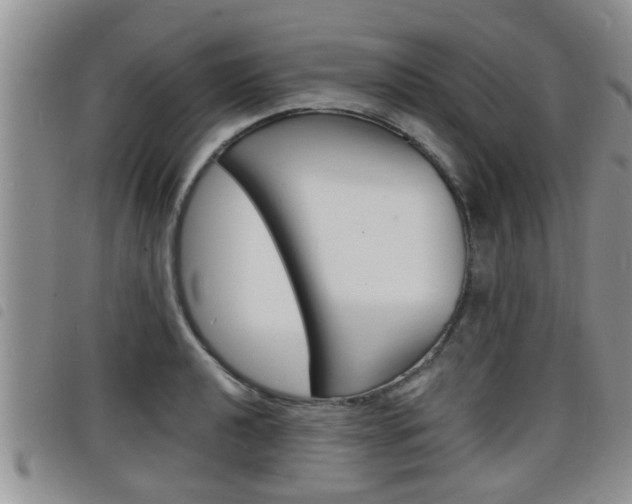 X0000098201040200804241034
