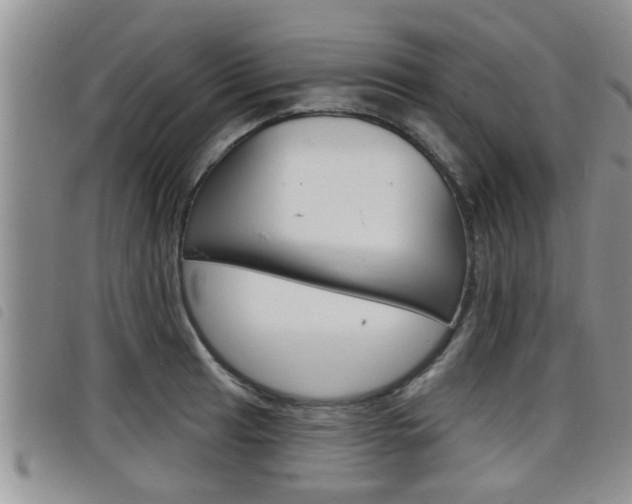 X0000098201041200804241034