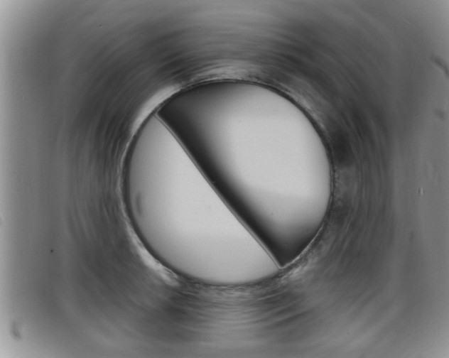 X0000098201042200804241034